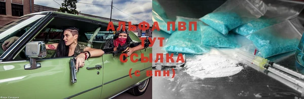 прущие грибы Алексин