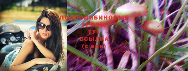 прущие грибы Алексин