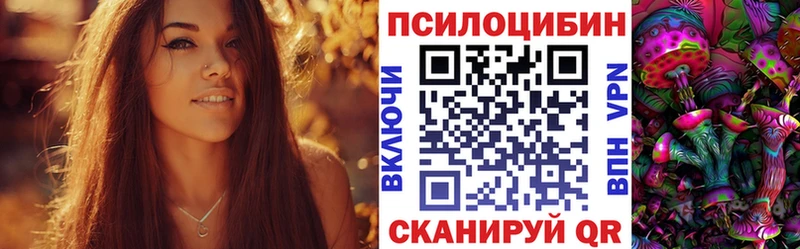 Псилоцибиновые грибы Magic Shrooms  где найти   Сясьстрой 